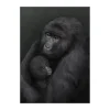 Posters<Kunskapstavlan® Affiche Bergsgorillan, 30x40 cm