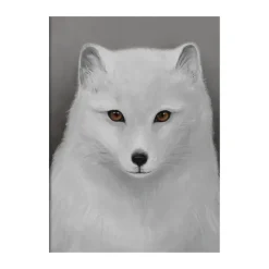 Posters<Kunskapstavlan® Affiche Fjällräv, 30x40 cm