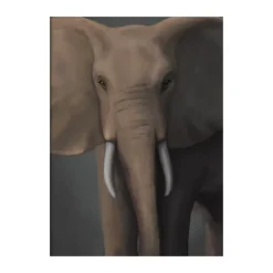 Posters<Kunskapstavlan® Affiche Skogselefant, 30x40 cm