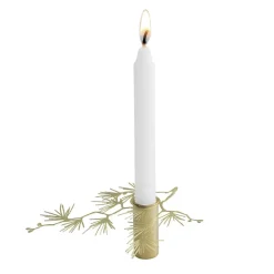 Bougeoirs<Pluto Design Bougeoir Tall Petit, Doré