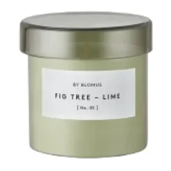 Bougies Parfumées & Diffuseurs<Blomus Bougie parfumée Valoa 30 heures, Fikon/Lime Agave Green