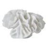 Sculptures & Figurines En Porcelaine<Mette Ditmer Coral gills, White