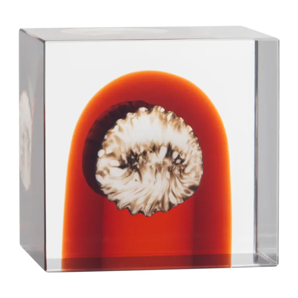 L'Art Du Verre|Sculptures & Figurines En Porcelaine<Iittala Cube annual , 2026