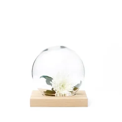 Accessoires Décoratifs<A2 Décoration Space, chêne huilé blanc, verre
