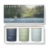 Bougies Parfumées & Diffuseurs<Skandinavisk Ensemble cadeau de mini bougies parfumées ESCAPE, 3 pièces, 65 g