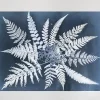 Posters<Fine Little Day Poster Fern star, 40x50 cm