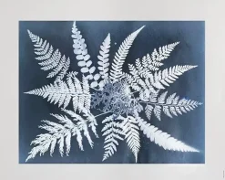 Posters<Fine Little Day Poster Fern star, 40x50 cm