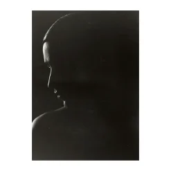 Posters<Paper Collective Poster The Silhouette, 50x70 cm