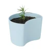Cache-Pots<RIG-TIG Pot avec graines YOUR TREE, Bleu (Pin)