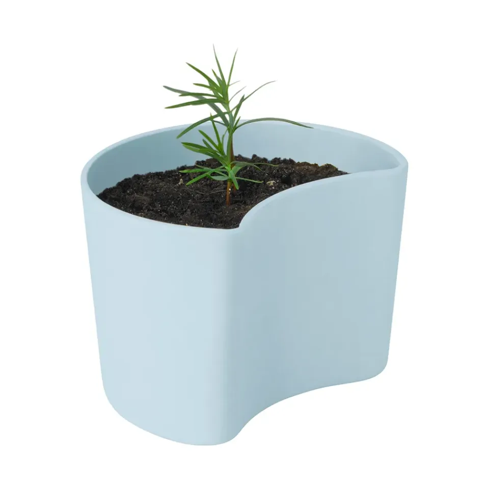 Cache-Pots<RIG-TIG Pot avec graines YOUR TREE, Bleu (Pin)