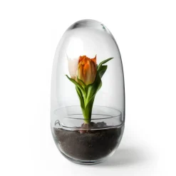 Cache-Pots<Design House Stockholm Serre Grow, Moyen ø11 cm